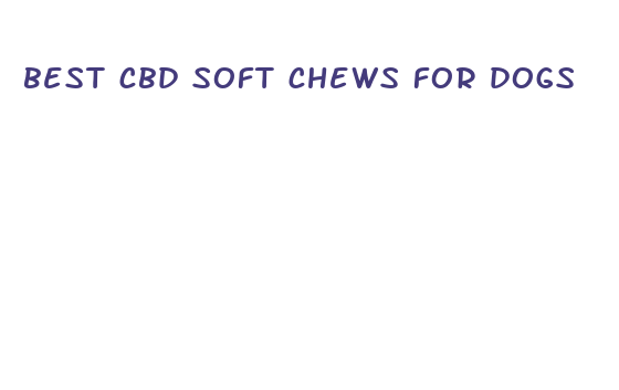 best cbd soft chews for dogs