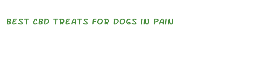 best cbd treats for dogs in pain