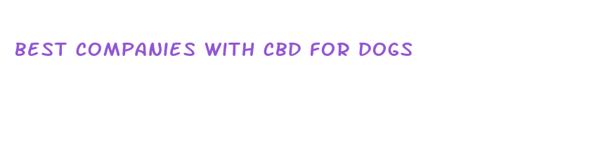 best companies with cbd for dogs