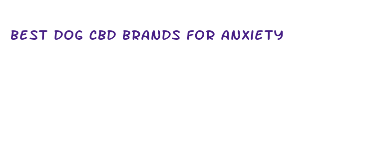 best dog cbd brands for anxiety