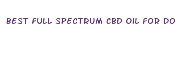 best full spectrum cbd oil for dogs colorado