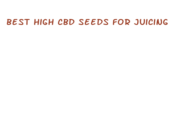 best high cbd seeds for juicing