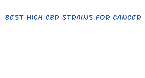 best high cbd strains for cancer