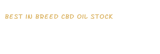 best in breed cbd oil stock