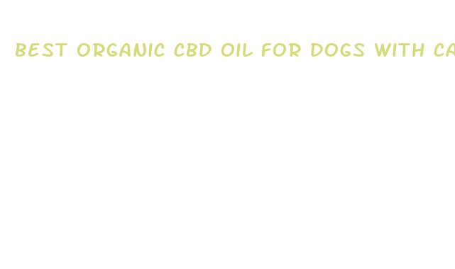 best organic cbd oil for dogs with cancer