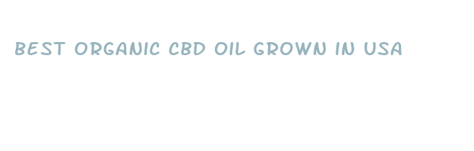 best organic cbd oil grown in usa