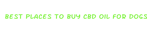 best places to buy cbd oil for dogs