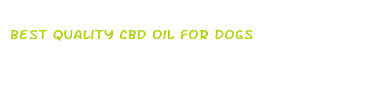 best quality cbd oil for dogs