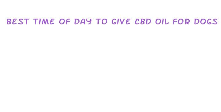 best time of day to give cbd oil for dogs