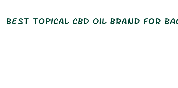 best topical cbd oil brand for back pain