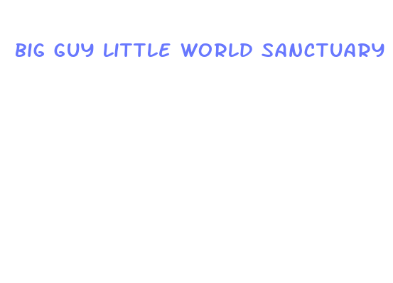 big guy little world sanctuary cbd oil