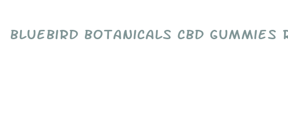 bluebird botanicals cbd gummies reviews