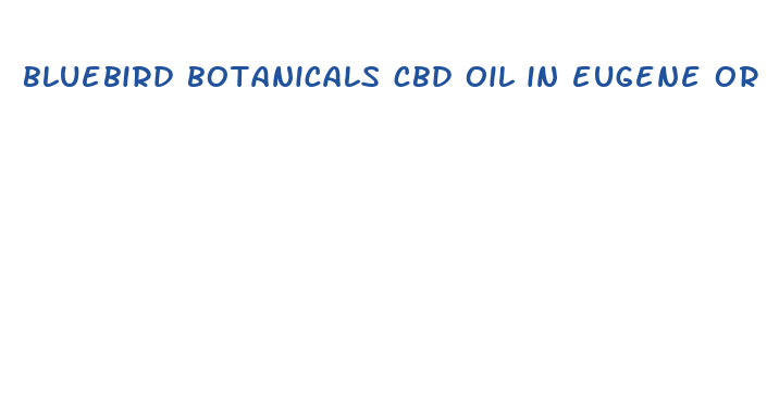 bluebird botanicals cbd oil in eugene or