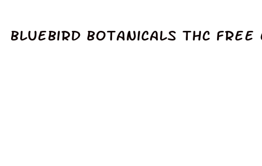 bluebird botanicals thc free cbd oil reviews