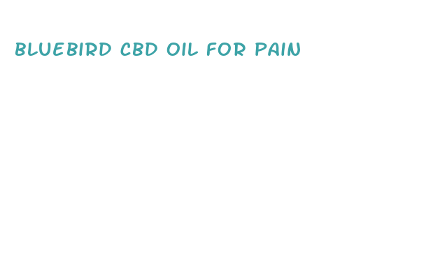 bluebird cbd oil for pain