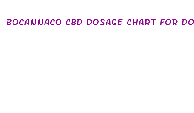 bocannaco cbd dosage chart for dogs