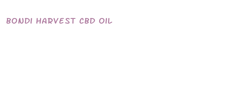 bondi harvest cbd oil