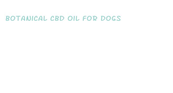 botanical cbd oil for dogs