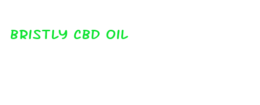 bristly cbd oil