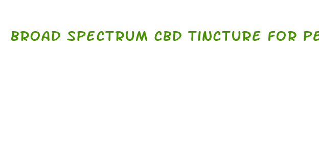 broad spectrum cbd tincture for pets