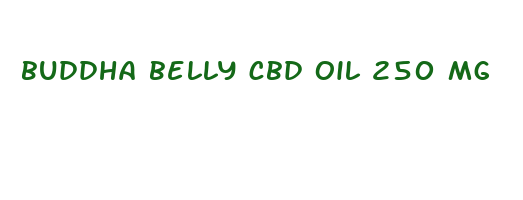 buddha belly cbd oil 250 mg