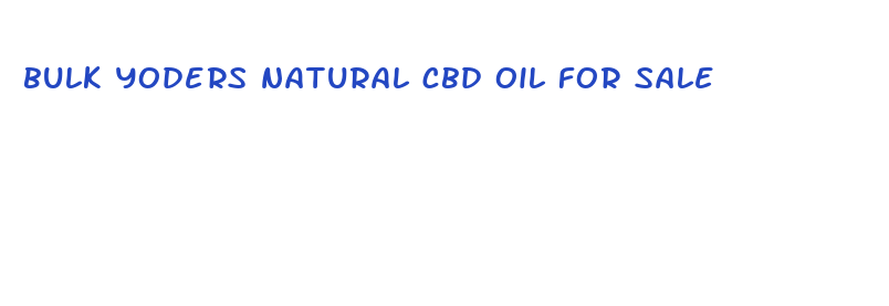 bulk yoders natural cbd oil for sale