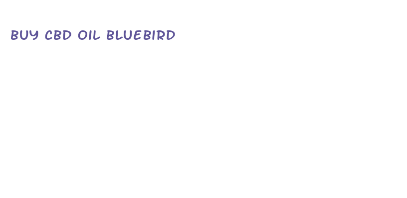 buy cbd oil bluebird