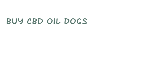 buy cbd oil dogs