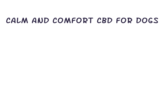 calm and comfort cbd for dogs