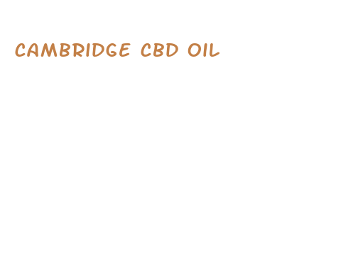 cambridge cbd oil