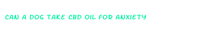 can a dog take cbd oil for anxiety