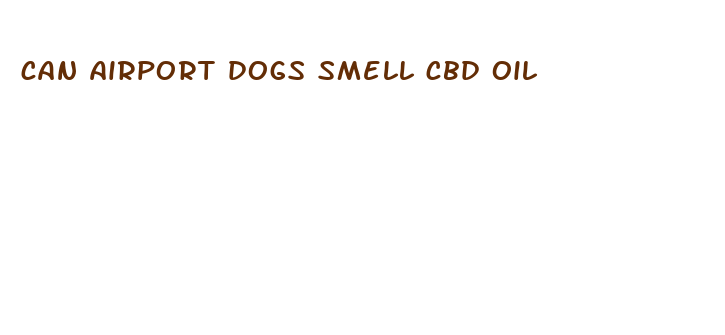 can airport dogs smell cbd oil