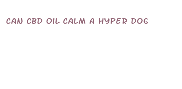 can cbd oil calm a hyper dog