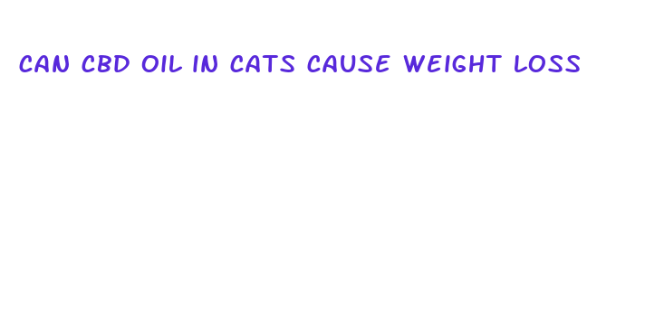 can cbd oil in cats cause weight loss