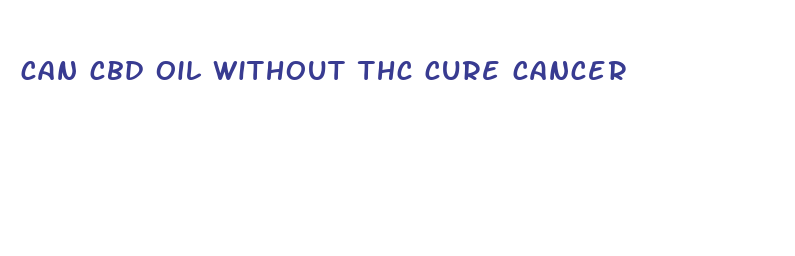 can cbd oil without thc cure cancer