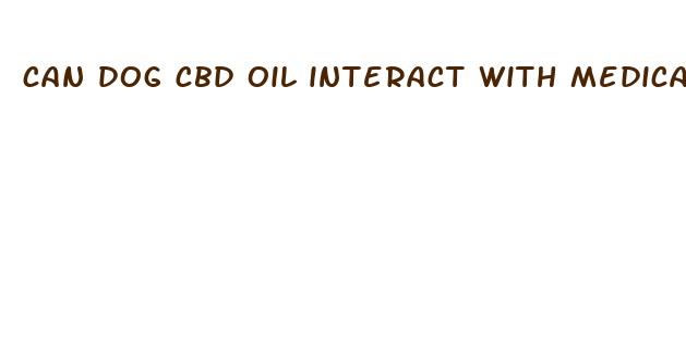 can dog cbd oil interact with medications