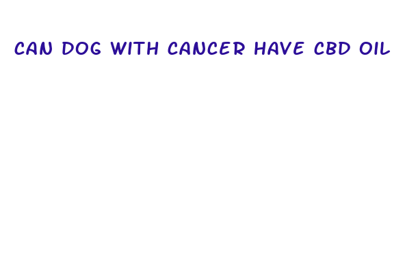 can dog with cancer have cbd oil