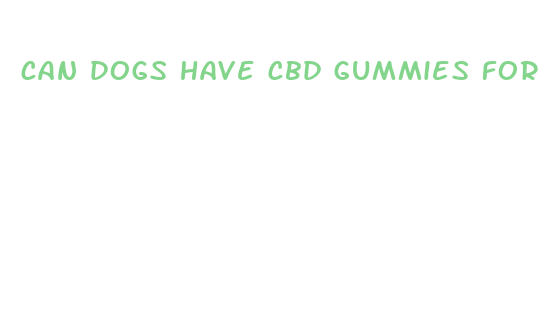 can dogs have cbd gummies for anxiety