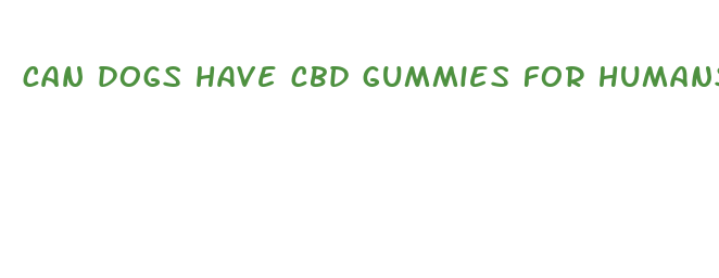 can dogs have cbd gummies for humans