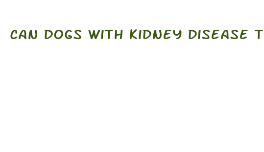 can dogs with kidney disease take cbd oil