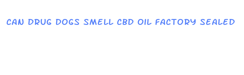 can drug dogs smell cbd oil factory sealed