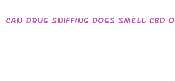 can drug sniffing dogs smell cbd oil cartridges