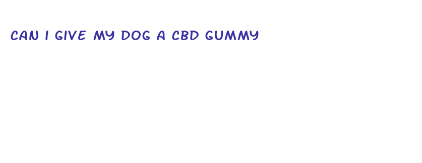 can i give my dog a cbd gummy