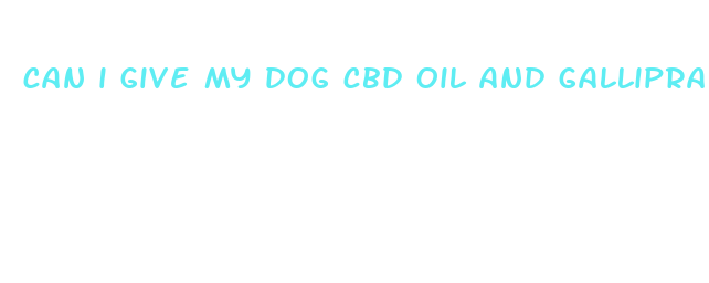 can i give my dog cbd oil and galliprant