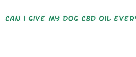 can i give my dog cbd oil everyday