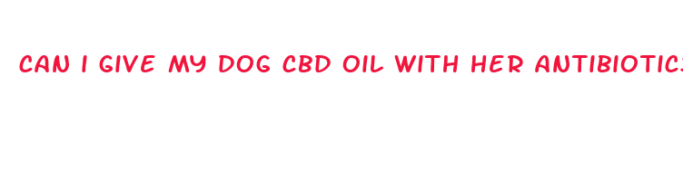 can i give my dog cbd oil with her antibiotics