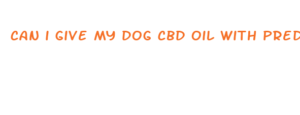 can i give my dog cbd oil with prednisone