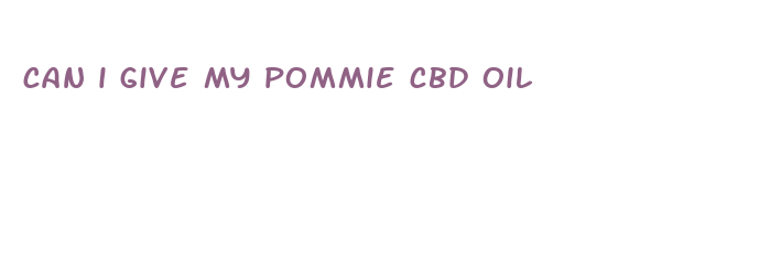 can i give my pommie cbd oil