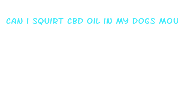 can i squirt cbd oil in my dogs mouth