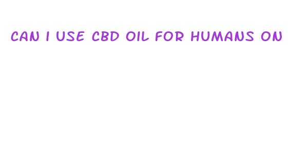 can i use cbd oil for humans on my dog